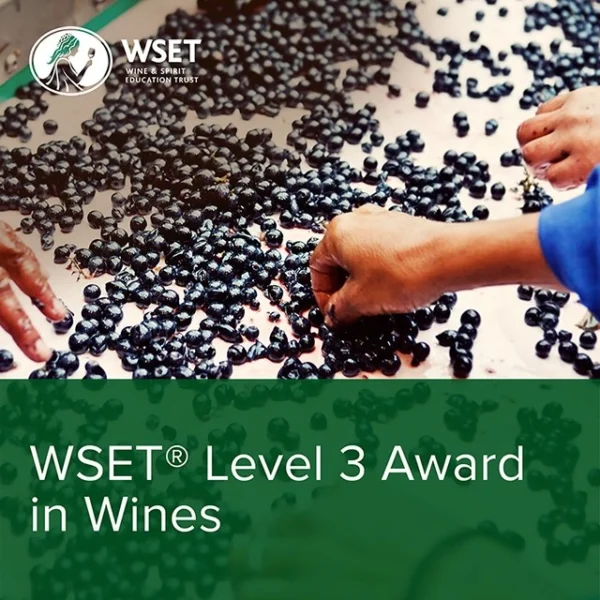 WSET Wines Level 3