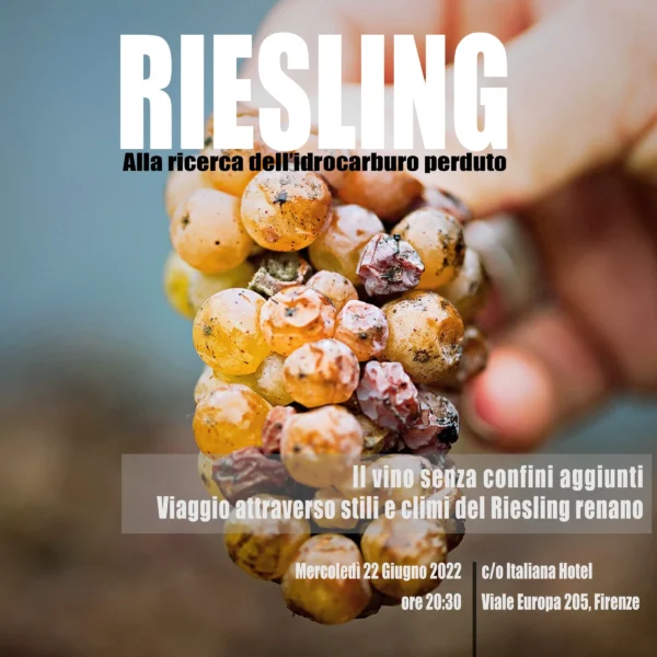 vino riesling vino riesling