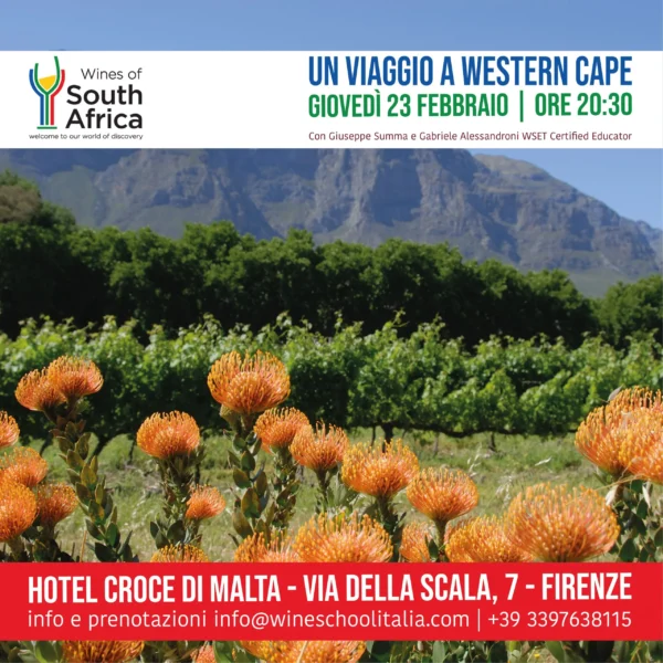 vini sudafrica vini sudafrica