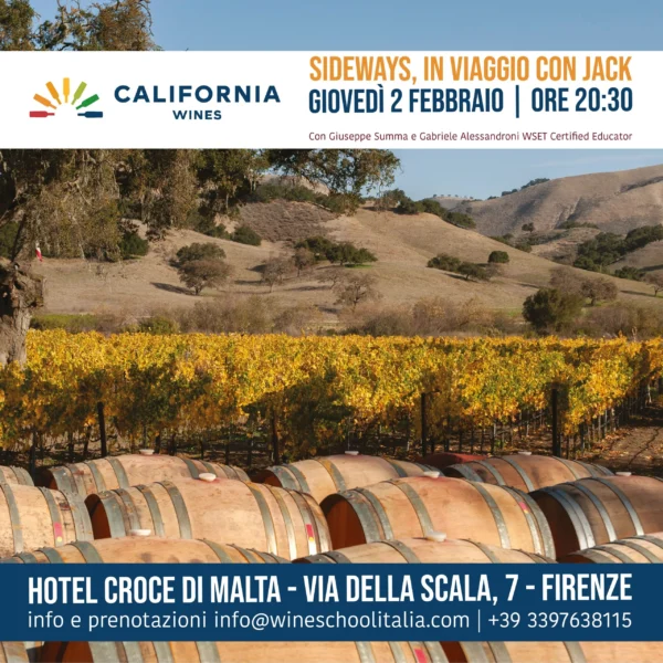 vini California vini California