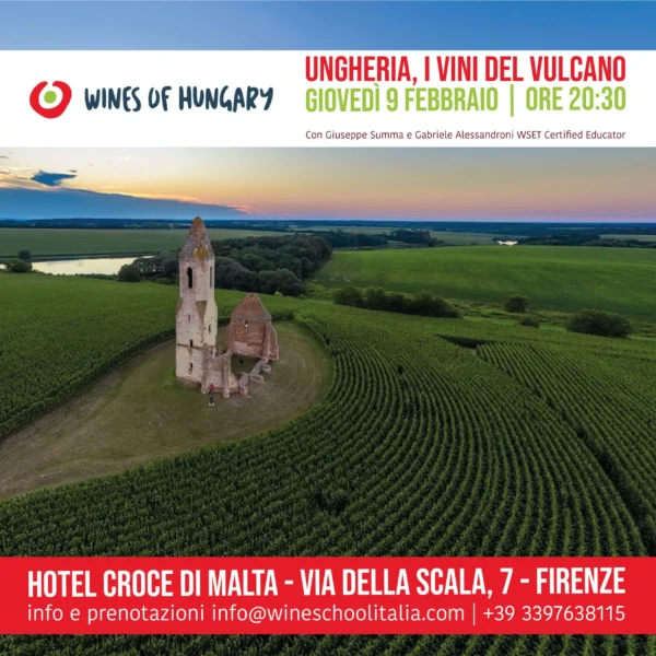 Ungheria vini Ungheria vini