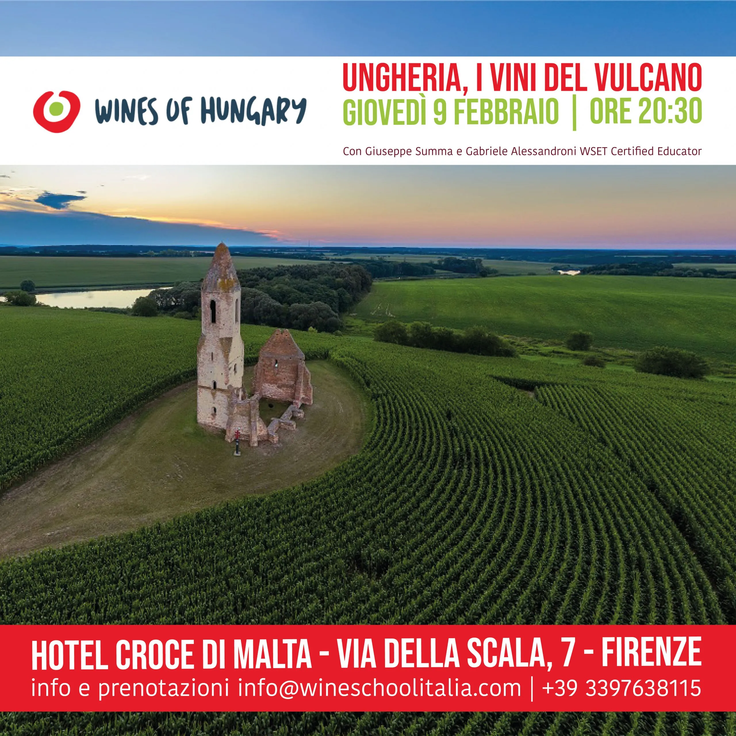 Ungheria vini