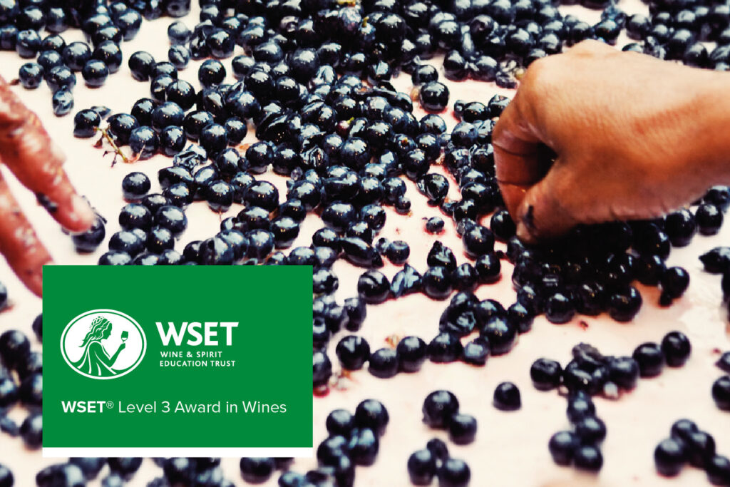 Corso WSET Level3 Wines