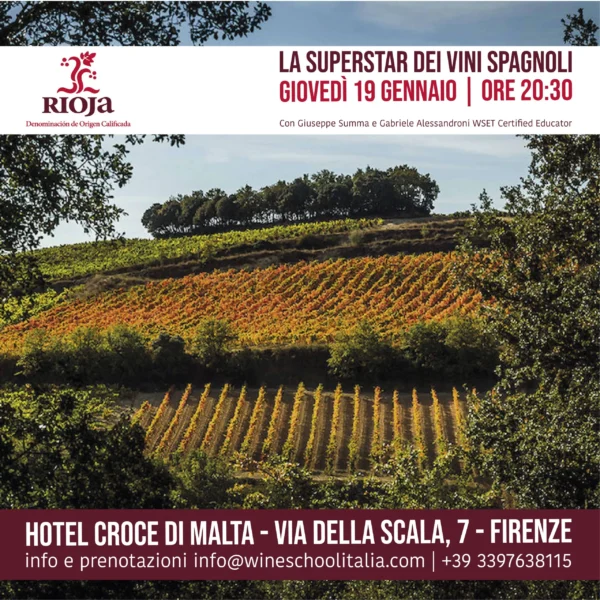 vino rioja vino rioja