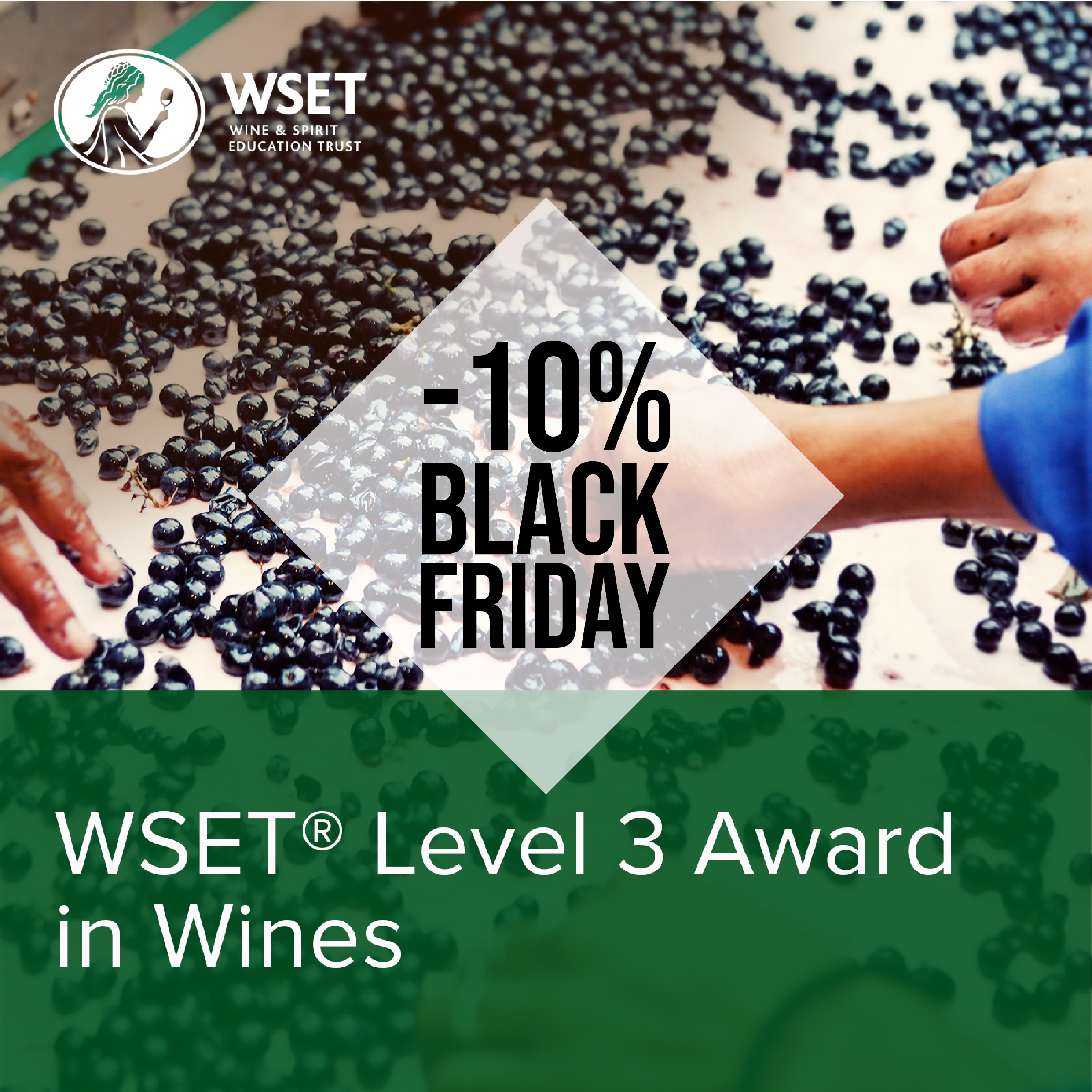 WSET Level 3 Award in Wines (marzo 2025) - FIRENZE Black Friday