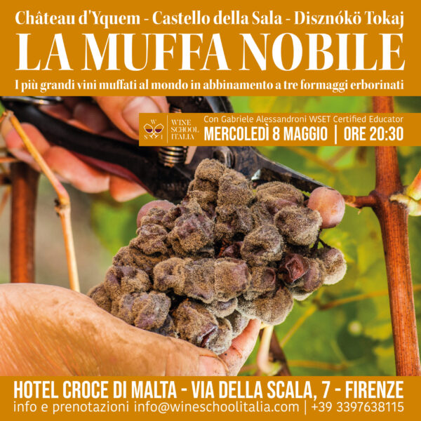 muffanobile_firenze La Muffa Nobile | I più grandi muffati al mondo