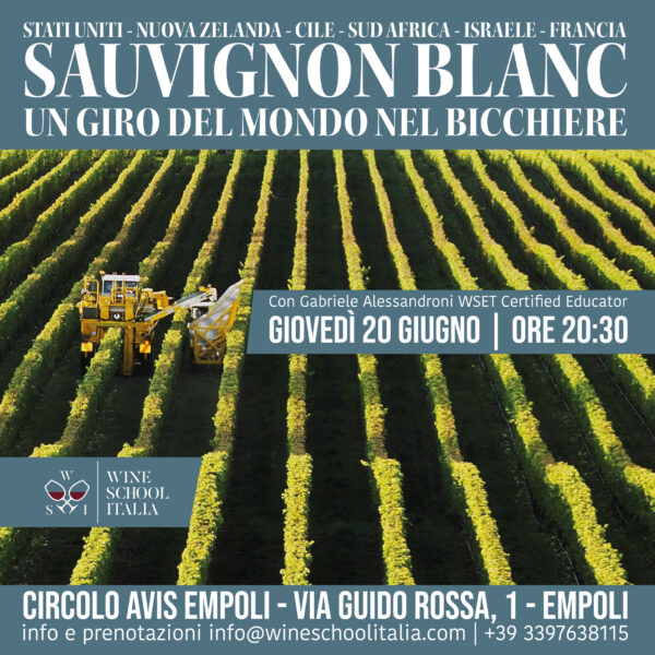 sauvignon_blanc_empoli Sauvignon Blanc | Un giro del mondo nel bicchiere