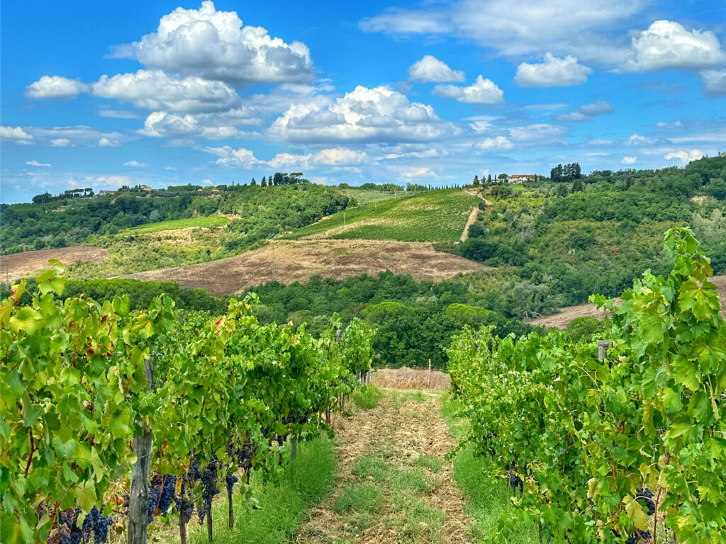 Chianti Classico Wine Tour