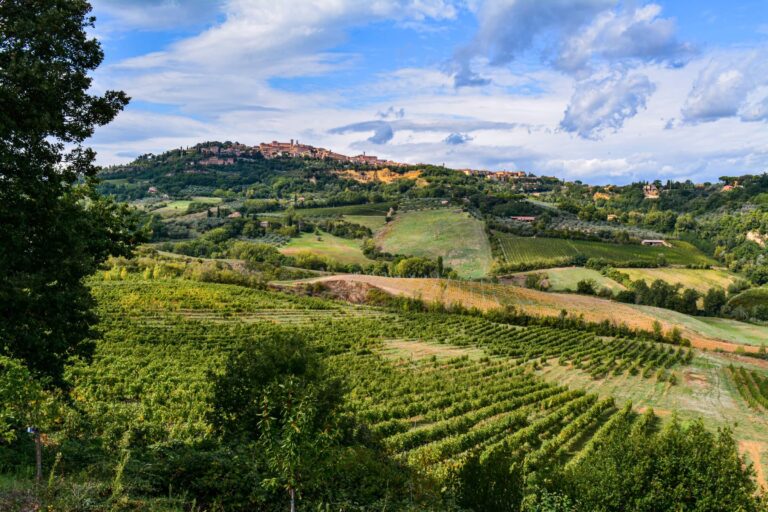 Montepulciano town