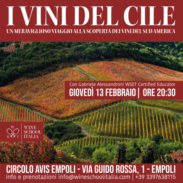 Degustazione vini del Cile a Empoli I Vini del Cile