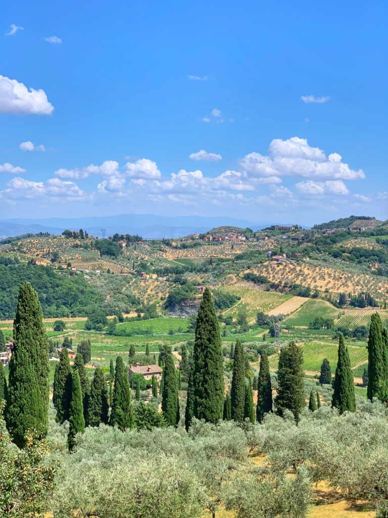 Le colline tra Bacchereto e Capezzana