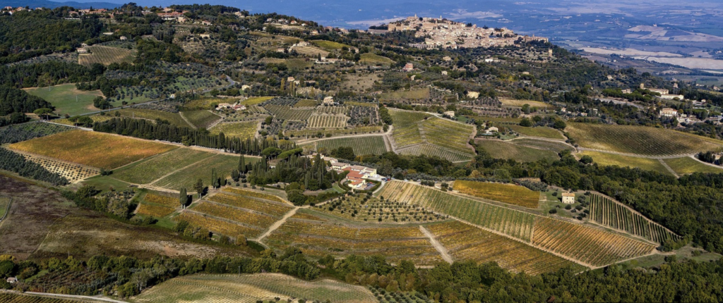 Vista della Tenuta Greppo, dove venne prodotto per la prima volta il Brunello di Montalcino