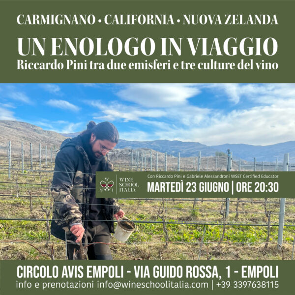 Riccardo Pini enologo Un enologo in viaggio | tra due emisferi e tre mondi del vino