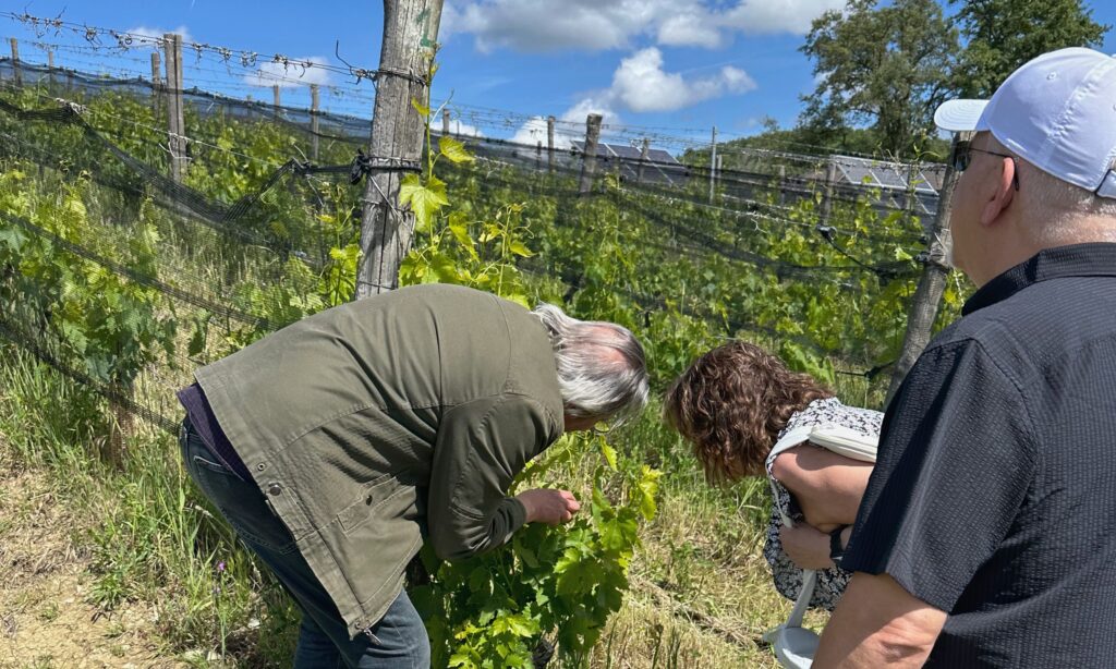 Visitors exploring a Tuscan vineyard with a winemaker, showing how choosing the right wineries in Tuscany shapes a more meaningful wine tour experience.